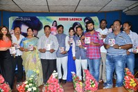 Danger Love Story Audio Launch